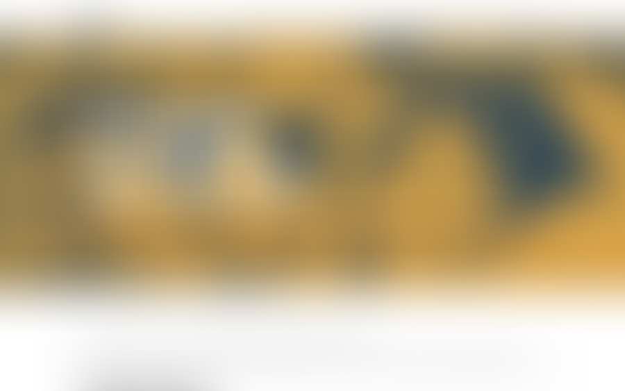 Blurred screenshot of an anonymized competitor