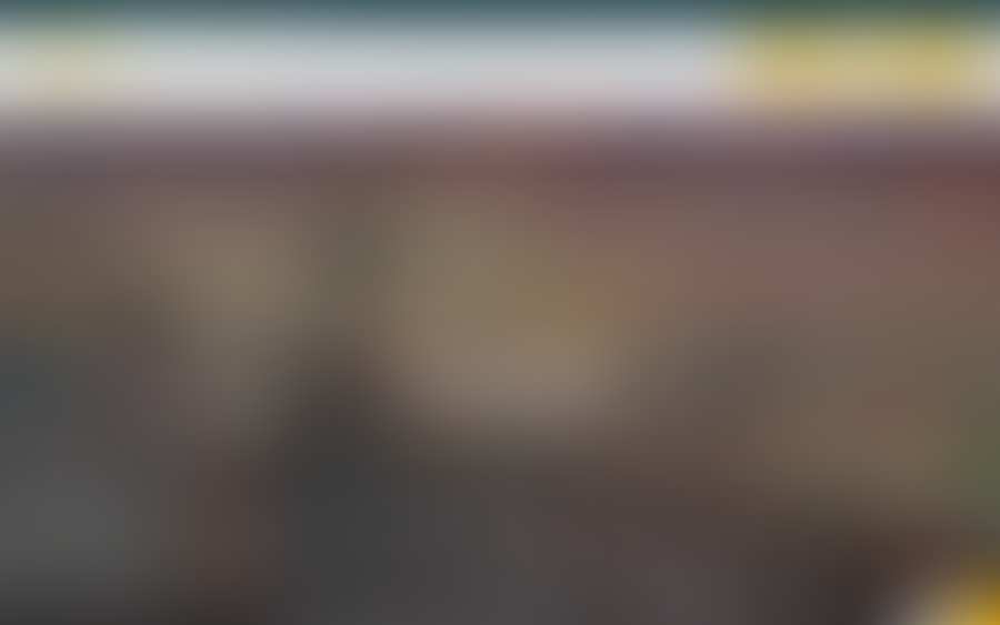 Blurred screenshot of an anonymized competitor