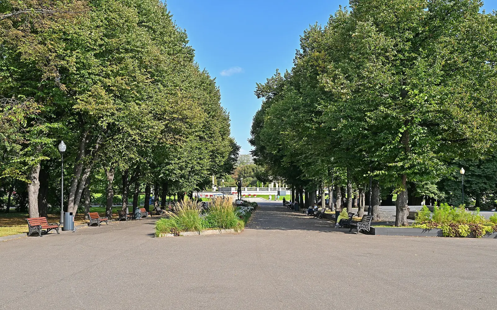 Allée bordée de tilleuls et de bancs dans le parc Gorki à Moscou